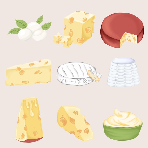 Vários tipos de queijo exibidos artisticamente sobre um fundo neutro queijos macios e duros