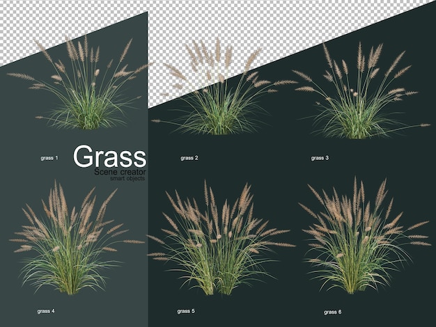 Vários tipos de renderização 3D de grama