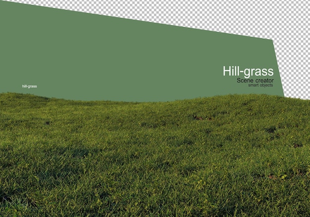 Vários tipos de renderização de grama isolados
