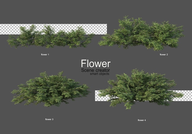 varios tipos de flores diferentes estilos