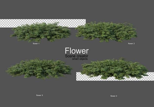 varios tipos de flores diferentes estilos