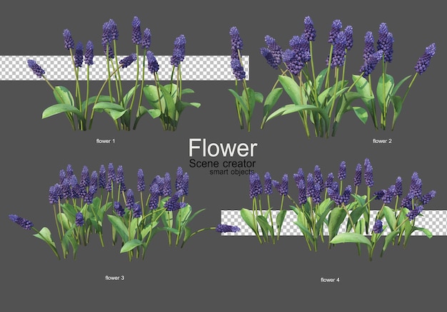 varios tipos de flores diferentes estilos