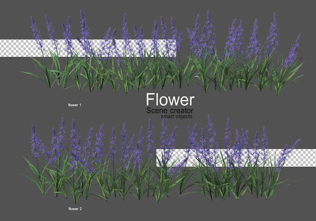 varios tipos de flores diferentes estilos