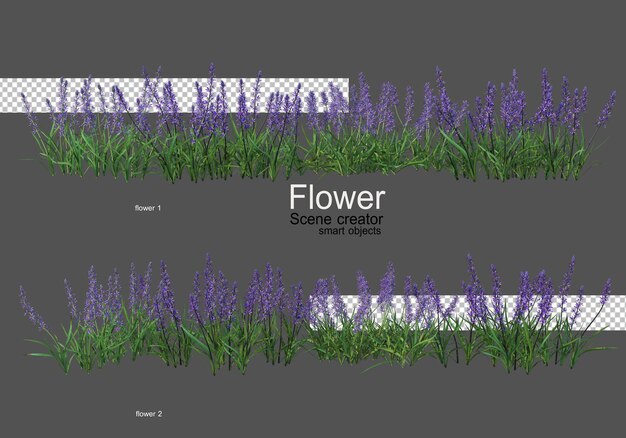 varios tipos de flores diferentes estilos