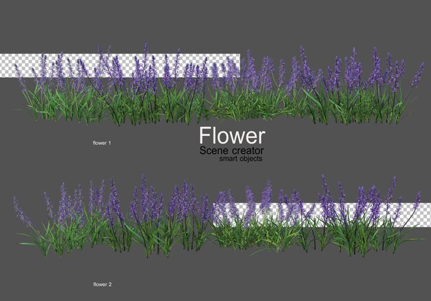 Varios tipos de flores diferentes estilos