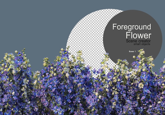 varios tipos de flores tomadas con una cámara de primer plano