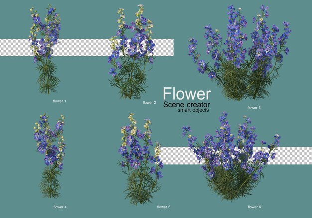 varios tipos de flores varias formas