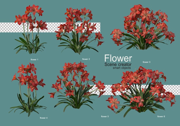 PSD varios tipos de flores varias formas