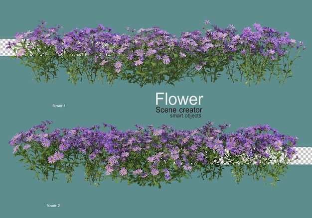varios tipos de flores varias formas