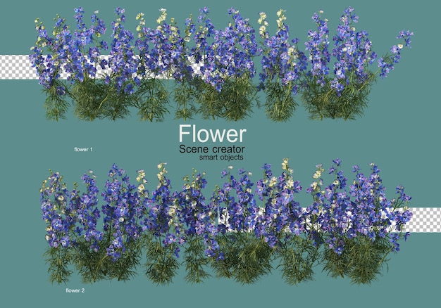 varios tipos de flores varias formas