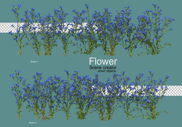 varios tipos de flores varias formas