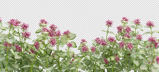 PSD varios tipos de flores varias formas