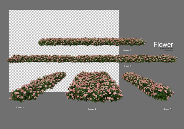 varios tipos de flores