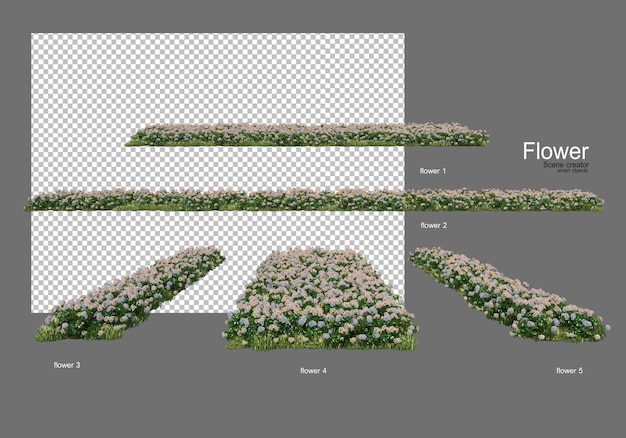 varios tipos de flores