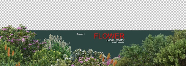 varios tipos de flores