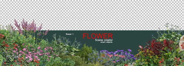 varios tipos de flores