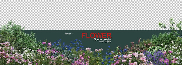 varios tipos de flores
