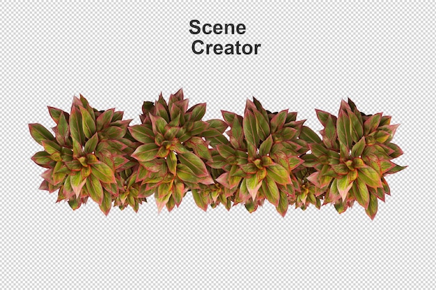 Varios tipos de renderizado 3d de hierba