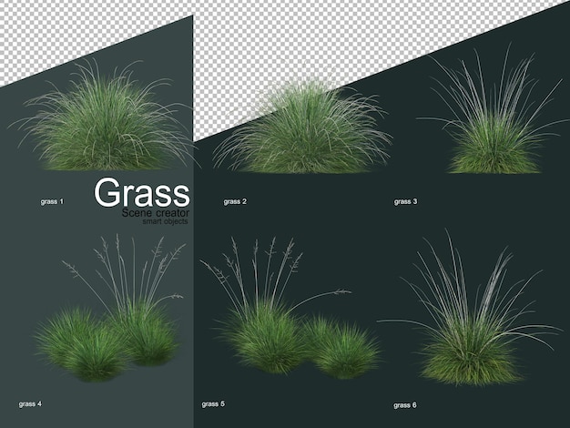 Varios tipos de renderizado 3D de hierba