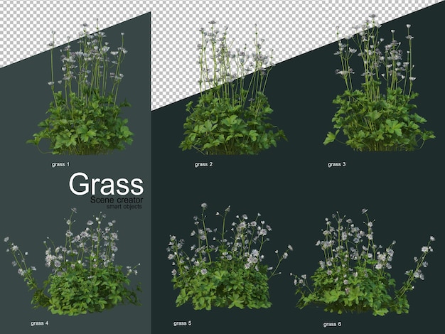 Varios tipos de renderizado 3D de hierba