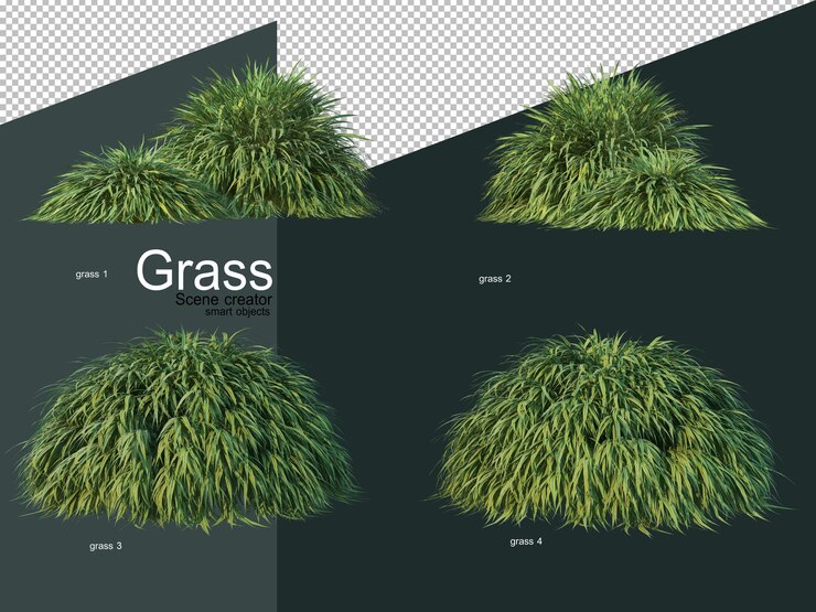 PSD varios tipos de renderizado 3d de hierba