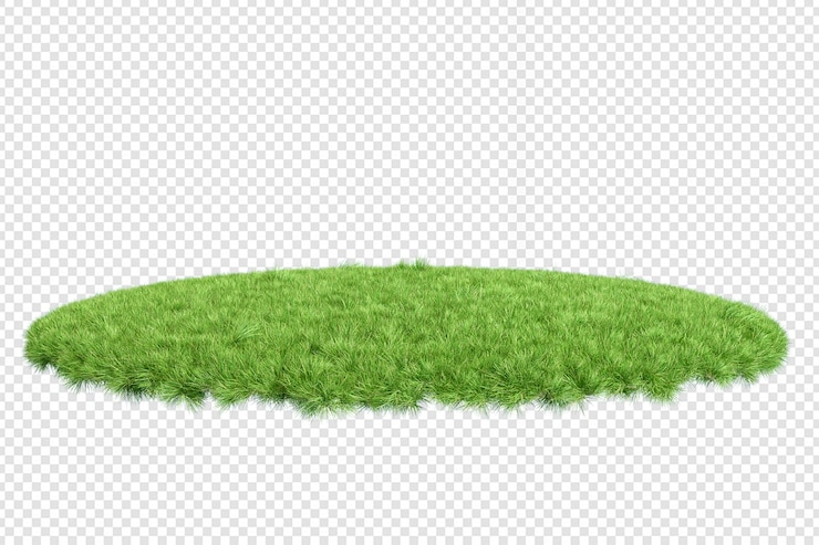 PSD varios tipos de renderizado de hierba aislado