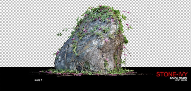Varios tipos de rocas y enredaderas.