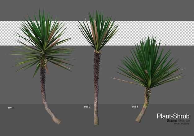 Various trees and shrubs
