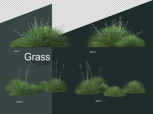 various types of grass 3d rendering