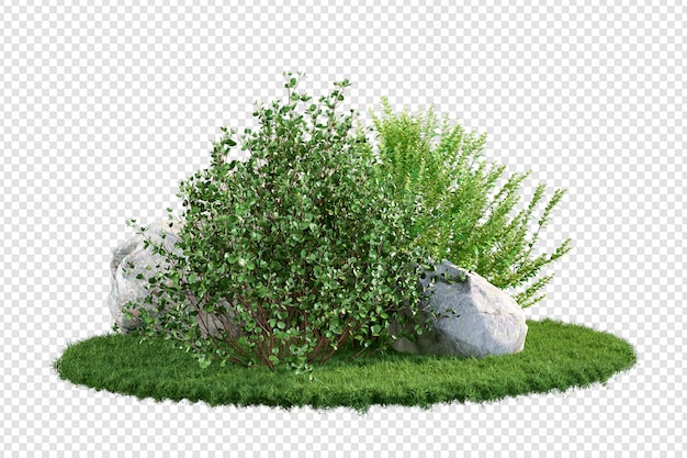 Various types of grass and plant and rocks in 3d rendering isolated