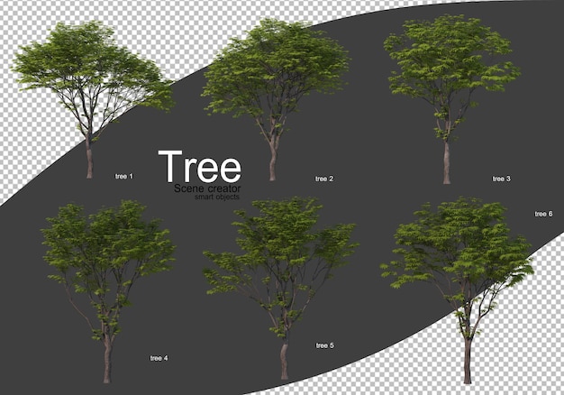 Various types of trees rendering Isolated