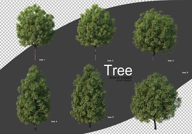 Various types of trees rendering Isolated