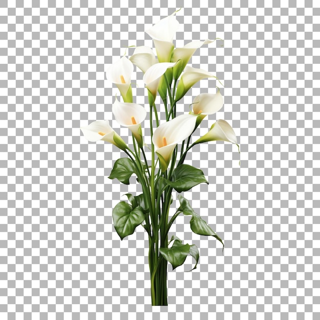 PSD un vase de fleurs blanches avec un fond blanc