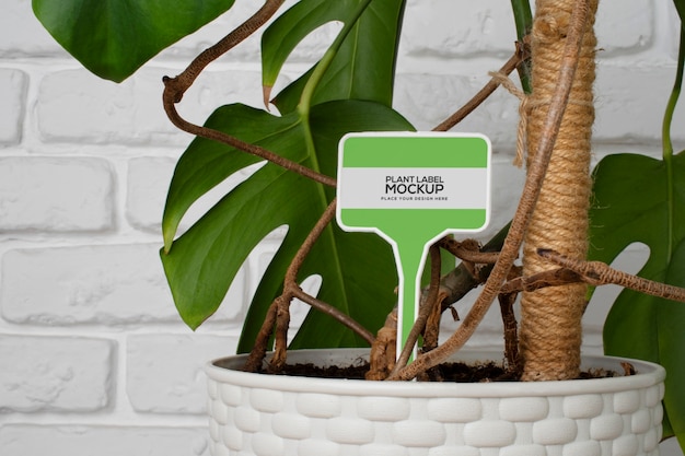 vaso de planta com etiqueta