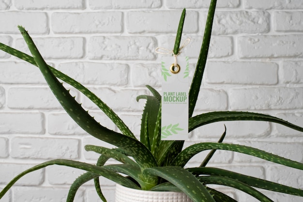 vaso de planta com etiqueta