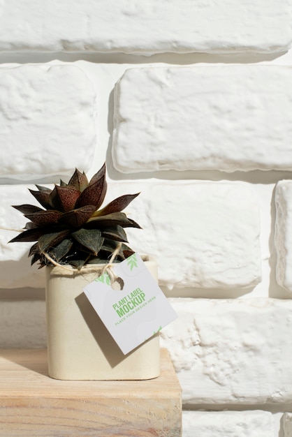 vaso de planta com etiqueta