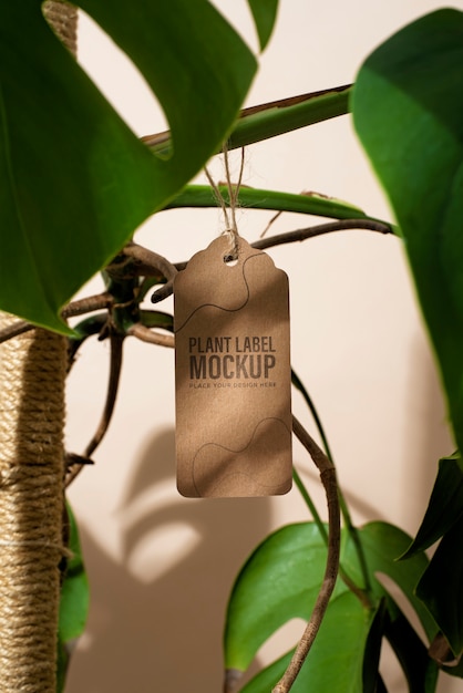vaso de planta com etiqueta