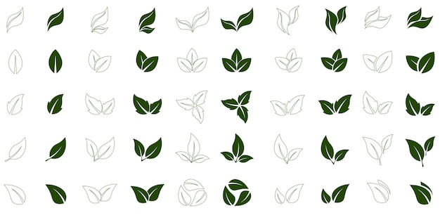 Vecteur de feuille