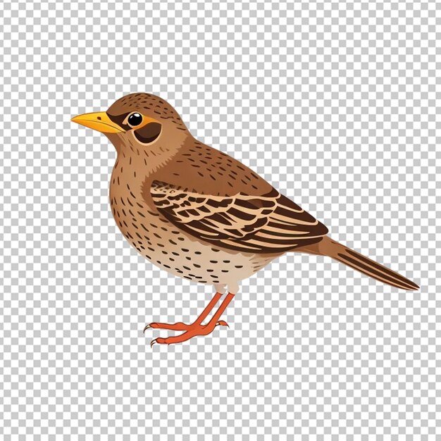 PSD vector de las aves del tordo