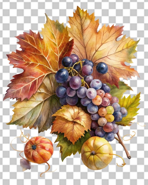 PSD vector de aglomerado de uvas azuis