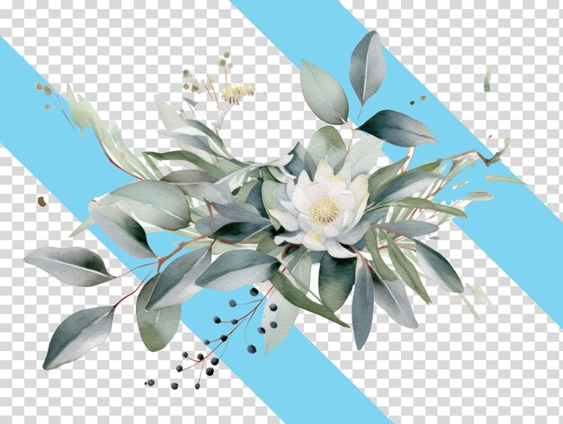 PSD vector de conjunto de flores em fundo transaprent