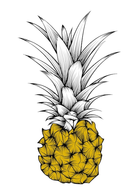 PSD vector d'illustrateur de ligne d'art de fruit d'ananas