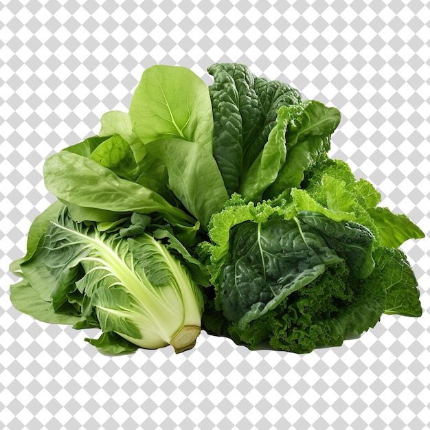 PSD vegetable aislado en fondo transparente formato de archivo png