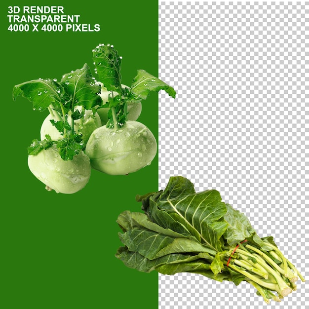Vegetais alimentícios Bok Choy