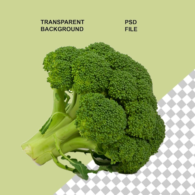 Vegetais saudáveis em fundo transparente isolado
