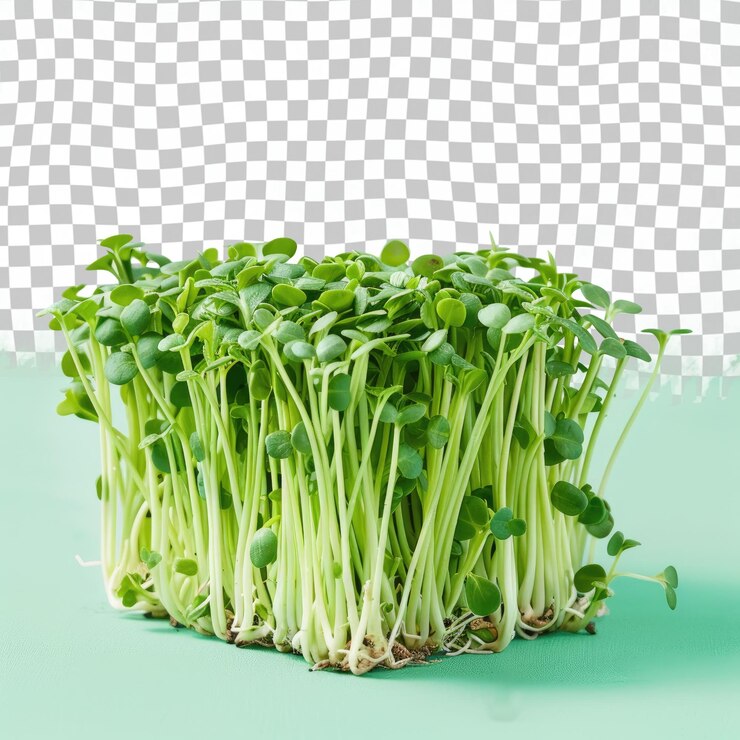 PSD un vegetal verde que está en una mesa con un patrón a cuadros