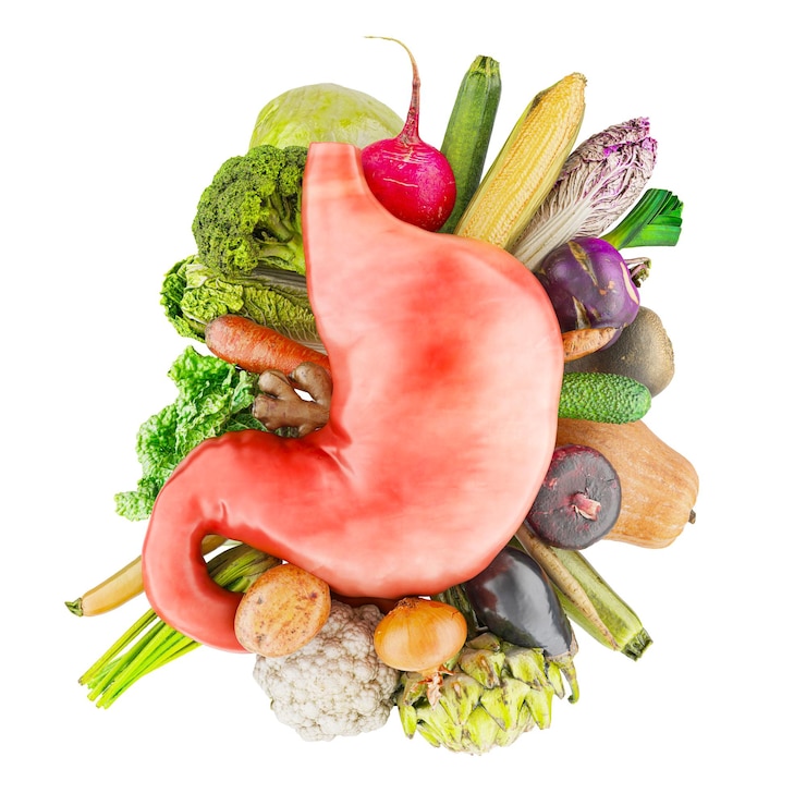 PSD vegetales para el estómago alimentos saludables para el sistema digestivo concepto renderización 3d aislado en fondo transparente