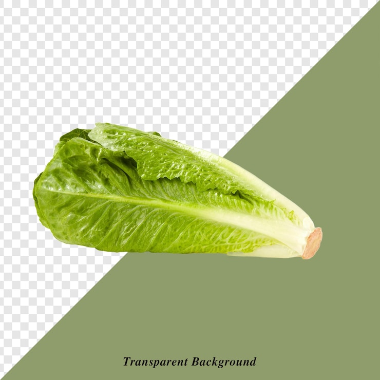 PSD vegetales con fondo transparente