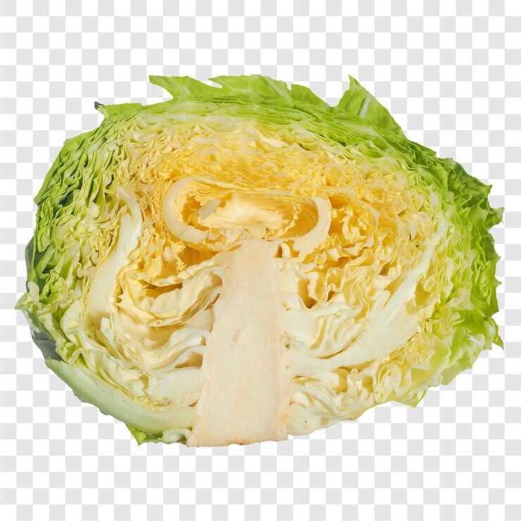 PSD vegetales de repollo transparentes