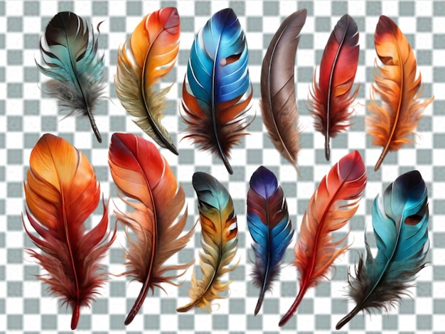 PSD vektor-realistische federn-farbsatz mit isolierten bildern von vogelfedern verschiedener farbe png
